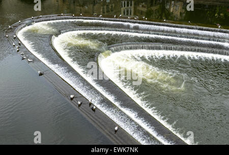 La ville BAIGNOIRE WEIR SUR LA RIVIÈRE AVON EN DESSOUS DU PONT PULTENEY ET LES MOUETTES se baigner dans l'eau Banque D'Images