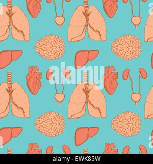 Sketch les organes internes en style vintage, vector pattern transparente Illustration de Vecteur