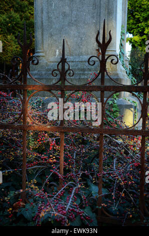 L'ancienne église, cour, Roermond Pays-Bas Banque D'Images
