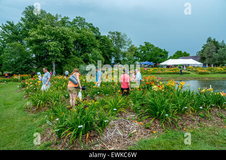 Corryton, Tennessee, USA. 27 Juin, 2015. Journée annuelle en Corryton Oaks Farm, USA. Crédit : Marc Griffin/Alamy Live News Banque D'Images