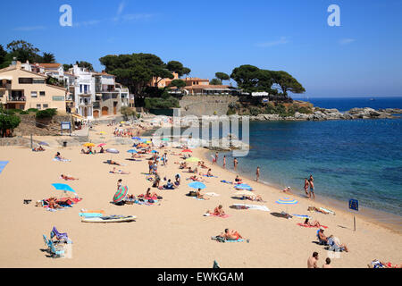 Plage de Calella de Palafrugell, Costa Brava, Catalogne, Espagne, Europe Banque D'Images