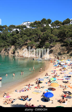 Aiguablava plage près de Begur, Costa Brava, Catalogne, Espagne, Europe Banque D'Images