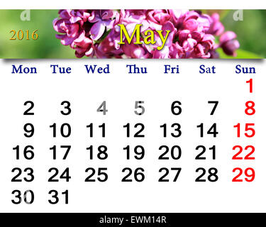 Calendrier de mai de 2016 avec des fleurs de lilas. Calendrier pour l'impression et utilisation dans la vie de bureau. Banque D'Images