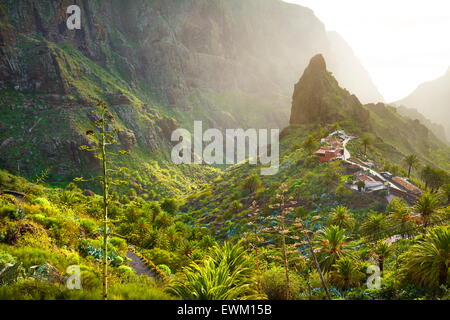 Village de Masca, Tenerife, Canaries, Espagne Banque D'Images