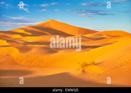 Désert Erg Chebbi près de Merzouga, Sahara, Maroc Banque D'Images