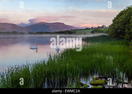 L'aube sur le lac Shanaghan, Ardara, comté de Donegal, Irlande Banque D'Images