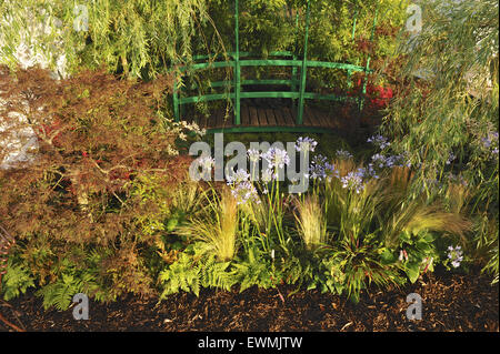 Hampton Court, Surrey, UK. 29 Juin, 2015. Aperçu de la plus grande exposition florale annuelle comme le RHS Hampton Court Palace Flower Show a célébré son anniversaire d'argent. Organisé de manière impressionnante les fleurs et jardins exquis a fleuri dans un soleil radieux que le salon a ouvert ses portes. Crédit : Michael Preston/Alamy Live News Banque D'Images