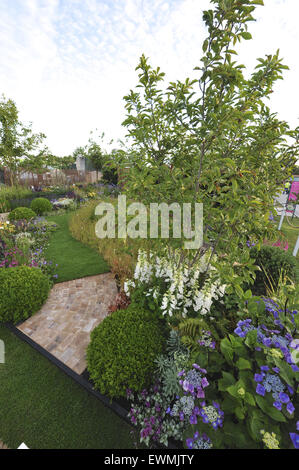 Hampton Court, Surrey, UK. 29 Juin, 2015. Aperçu de la plus grande exposition florale annuelle comme le RHS Hampton Court Palace Flower Show a célébré son anniversaire d'argent. Organisé de manière impressionnante les fleurs et jardins exquis a fleuri dans un soleil radieux que le salon a ouvert ses portes. Crédit : Michael Preston/Alamy Live News Banque D'Images