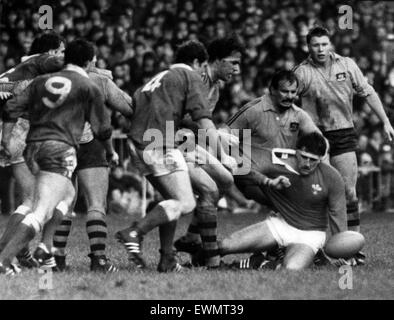 L'Australie 27-12 Pays de Galles, l'Australian Rugby Union 1984 Tour de Grande-Bretagne et l'Irlande, Match 12, Cardiff Arms Park, Cardiff, 24 novembre 1984. Robert Norster de galles, tente de mettre de l'ordre mauvais balle comme Steve Cutler de l'Australie tente de le tirer hors du chemin. Banque D'Images