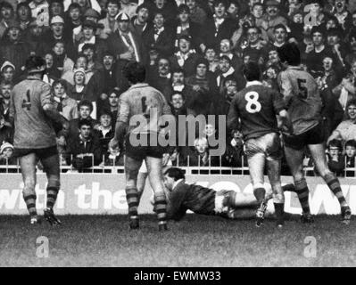 L'Australie 27-12 Pays de Galles, l'Australian Rugby Union 1984 Tour de Grande-Bretagne et l'Irlande, Match 12, Cardiff Arms Park, Cardiff, 24 novembre 1984. Nouveau garçon, David Bishop, se pour son essayez des galles. Banque D'Images