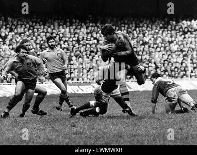 L'Australie 27-12 Pays de Galles, l'Australian Rugby Union 1984 Tour de Grande-Bretagne et l'Irlande, Match 12, Cardiff Arms Park, Cardiff, 24 novembre 1984. Roger Gould franchit la ligne de défense du pays de Galles. Banque D'Images