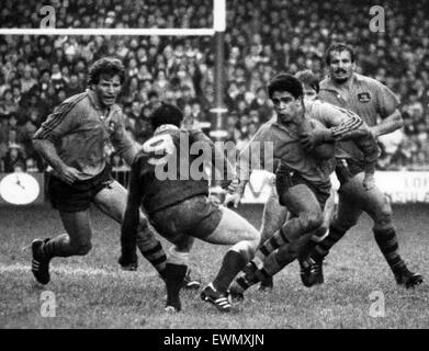 L'Australie 27-12 Pays de Galles, l'Australian Rugby Union 1984 Tour de Grande-Bretagne et l'Irlande, Match 12, Cardiff Arms Park, Cardiff, 24 novembre 1984. Mark Ella étapes côté Pays de Galles demi de mêlée David Bishop. Banque D'Images