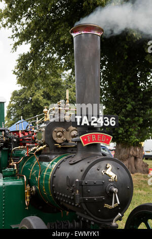 Royaume-uni, Angleterre, Cheshire, Chelford Astle, moteur de traction Parc Rallye, Fred Dibnah ancien du rouleau à vapeur Invicta Banque D'Images