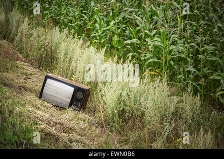 Vieux plat dans le domaine Banque D'Images