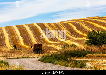 Un champ fraîchement tondue à Antioche en Californie Banque D'Images
