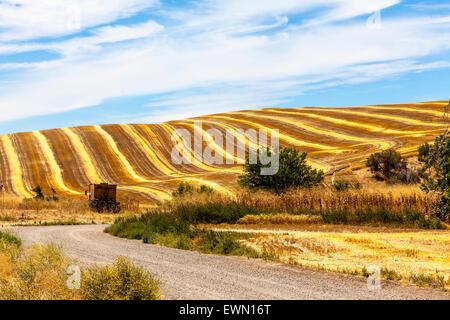 Un champ fraîchement tondue à Antioche en Californie Banque D'Images