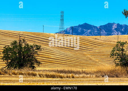 Un champ fraîchement tondue à Antioche en Californie avec Mount Diablo dans l'arrière-plan Banque D'Images