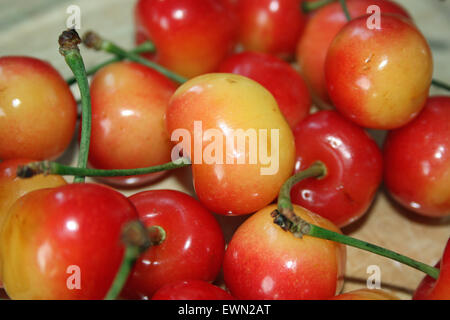 Une photographie du gros Rainier Cherries Banque D'Images