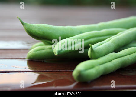 Haricots verts Banque D'Images