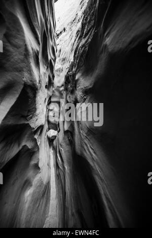 Résumé Motif de fond de grès Slot Canyon - la photographie noir et blanc Banque D'Images