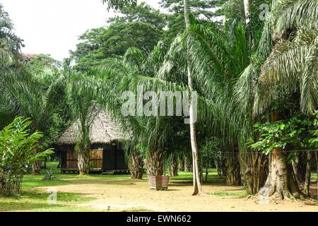 Maison de jungle tropicale en Bolivie. Le parc Madidi, Santa Cruz de la région. Banque D'Images