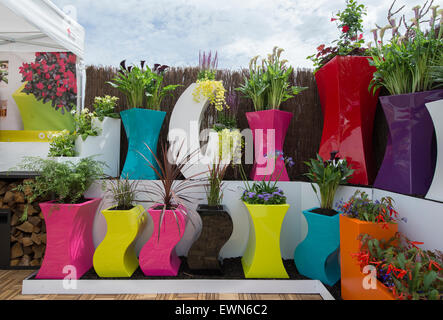 Hampton Court Palace, Surrey, UK. 29 Juin, 2015. 25e année de la RHS Hampton Court Palace Flower Show, le plus grand spectacle de fleurs, avec des événements marquant l'anniversaire. Credit : Malcolm Park editorial/Alamy Live News Banque D'Images