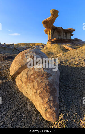 Roi d'ailes dans la Bisti Wilderness, New Mexico, USA Banque D'Images