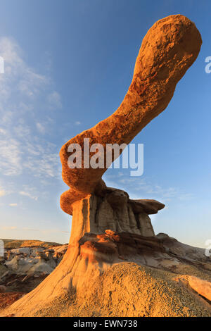 Roi d'ailes dans la Bisti Wilderness, New Mexico, USA Banque D'Images