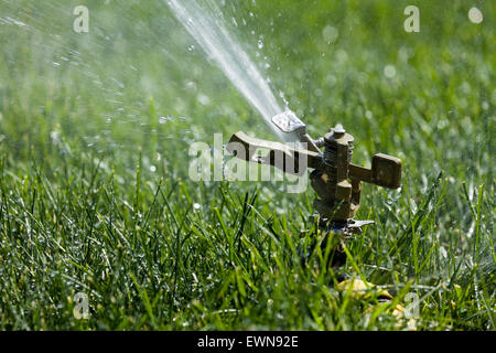 Arrosage automatique gazon sprinkleur Banque D'Images