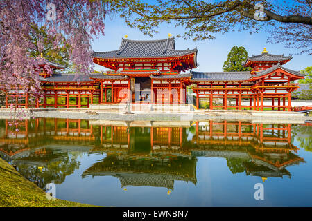 Kyoto, Japon à Temple Byodo-in. Banque D'Images