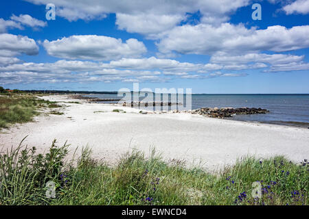 La plage juste au nord du port de Sæby Glamsbjerg Danemark Jutland avec des pierres placées comme moles ou remparts pour empêcher l'érosion. Banque D'Images