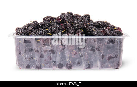 Mulberry dans le plateau en plastique isolé sur fond blanc Banque D'Images