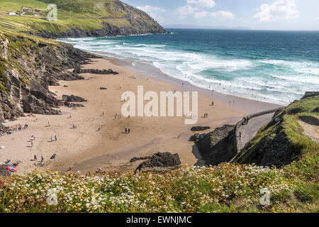 Slea Head beach, Iveragh, comté de Kerry, Irlande Banque D'Images