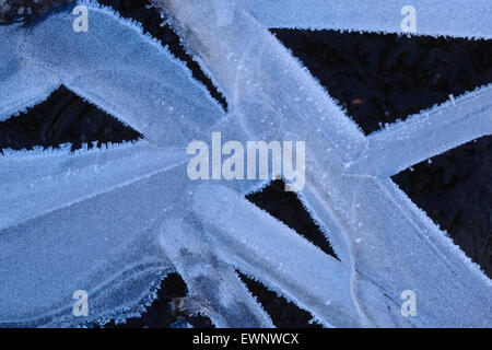 De la glace sur une flaque, goldenstedter moor en hiver, Niedersachsen, Basse-Saxe, Allemagne Banque D'Images