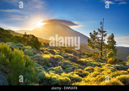 Au coucher du soleil, le Parc National du Teide, Tenerife, Îles de Canaries, Espagne Banque D'Images