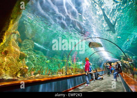 Aquarium de Loro Parque, Puerto de la Cruz, Tenerife, Canaries, Espagne Banque D'Images