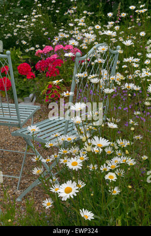 Jardin Nature morte avec géraniums tribunes et chaises de jardin Banque D'Images