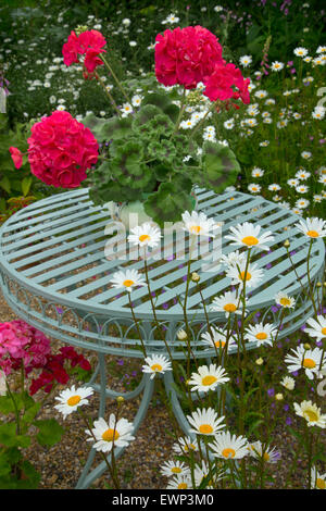 La vie toujours avec des géraniums de jardin et table de jardin bleu Banque D'Images