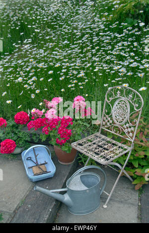 Still Life with Garden trug président géraniums tribunes et d'arrosoirs Banque D'Images