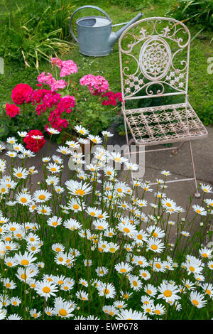 Jardin Nature morte avec géraniums tribunes et chaise de jardin Banque D'Images