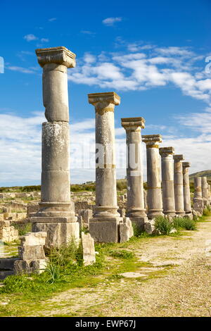 Volubilis, ancienne ville romaine dans la région de Zerhoun montagnes, près de Fès. Maroc Banque D'Images