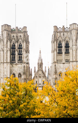 St Michel et St Gudule Cathédrale, Bruxelles, Belgique Banque D'Images