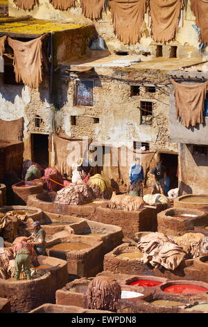 Médina de Fès. Chouwara tannerie dans le Vieux Nice. Maroc Banque D'Images