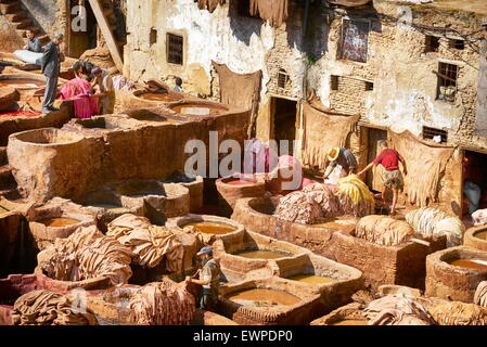 Cuir Tannerie traditionnelle Chouwara, Fès médina, Maroc, Afrique Banque D'Images