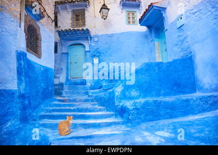 Chefchaouen (Chaouen). Est connu pour ses bâtiments dans des tons de bleu. Maroc Banque D'Images