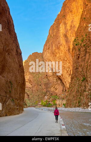 Gorges du Todgha, Tinghir, Maroc, Afrique Banque D'Images