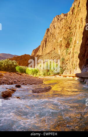 Gorges de Todra, ravin naturel près de Tinerhil. La région des montagnes de l'Atlas, Maroc Banque D'Images