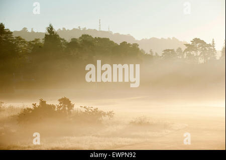 Reigate, Surrey, UK. 30 juin 2015. Brume matinale sur Reigate Heath. Credit : Graham M. Lawrence/Alamy Live News Banque D'Images