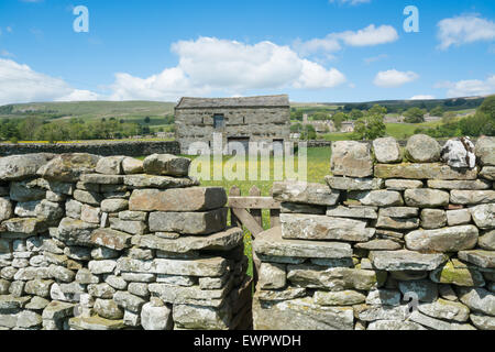 À travers le style de Askrigg dans Wensleydale Banque D'Images