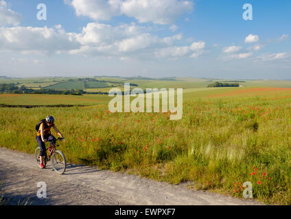 19 juin 2015 - Brighton and Hove, près de Brighton, UK : Un cycliste sur la nouvelle piste cyclable entre Falmer et Woodingdean, séparés de la Banque D'Images